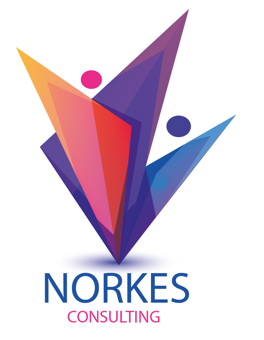 norkes-consulting.com